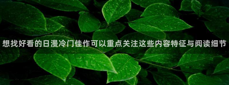 漫画岛免费漫画:想找好看的日漫冷门佳作可以重点关注这些内容特征与阅读细节