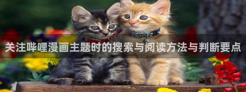 漫画岛漫画精选:关注哔哩漫画主题时的搜索与阅读方法与判断要点