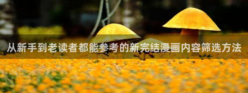 漫画岛漫画在线阅读:从新手到老读者都能参考的新完结漫画内容筛选方法