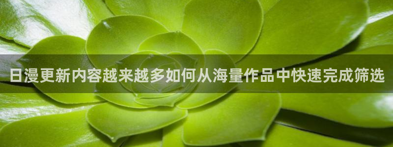 漫画岛热门榜单:日漫更新内容越来越多如何从海量作品中快速完成筛选