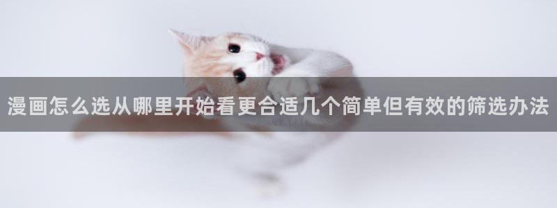 漫画岛漫画更新资讯:漫画怎么选从哪里开始看更合适几个简单但有效的筛选办法